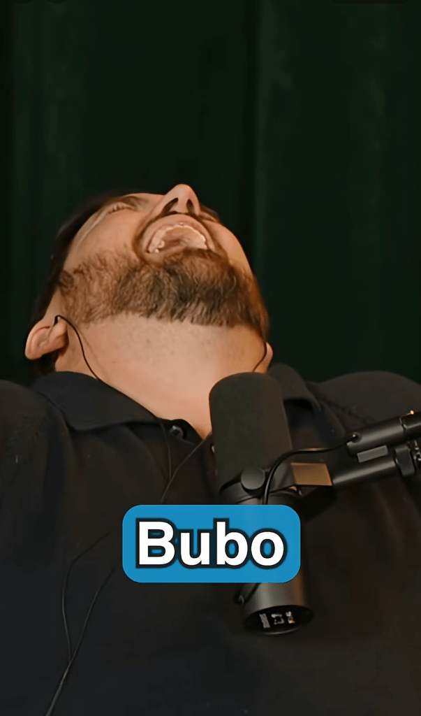 Main Street Sounds - Bubo's Dilemma